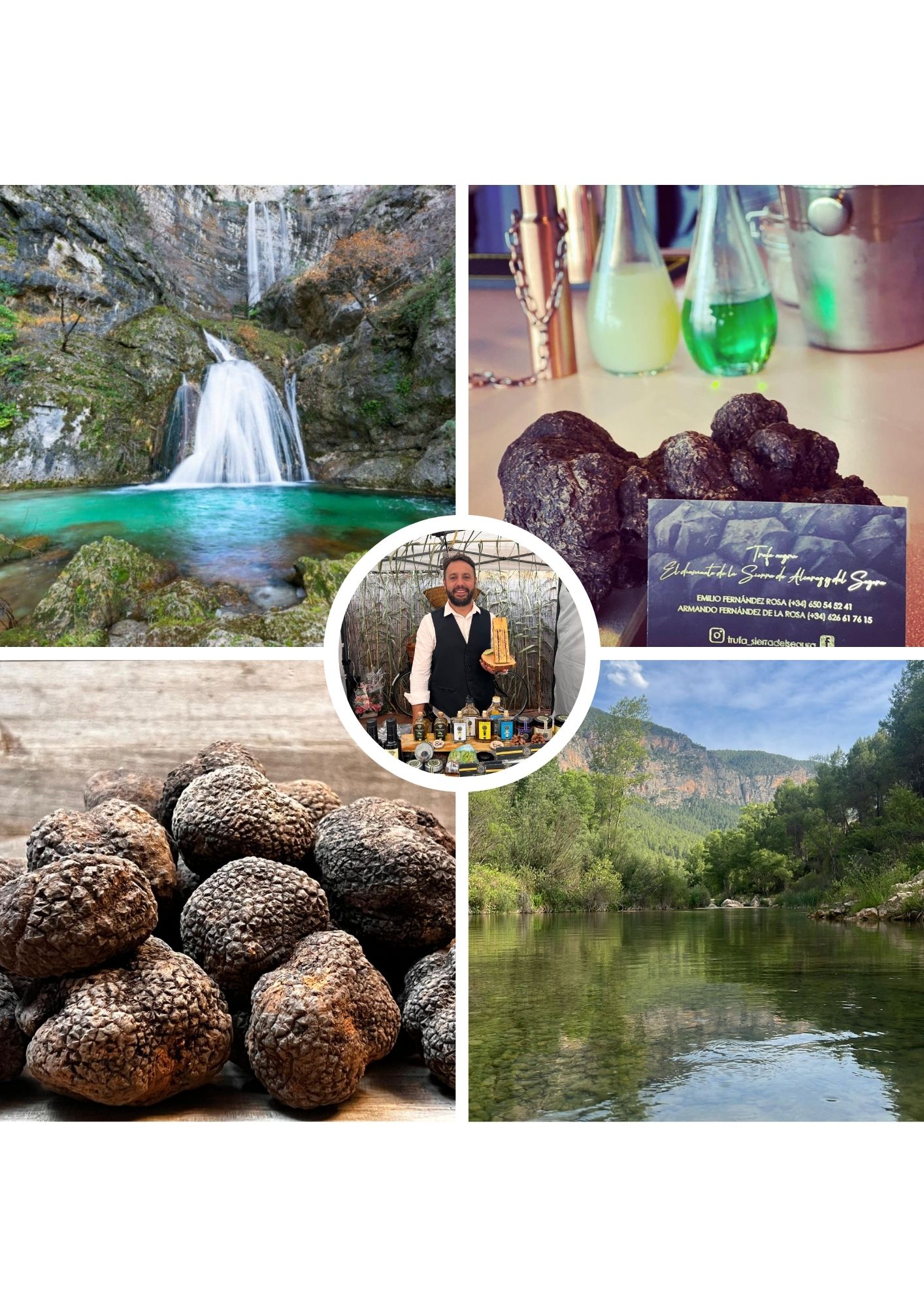 Facturas y proformas