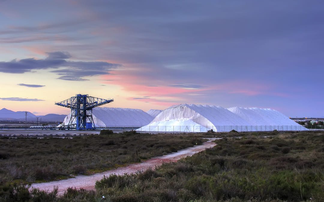 Salinas de Santa Pola: naturaleza, flamencos y paisajes únicos